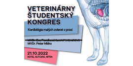 VSK22 prednasajuci web2new