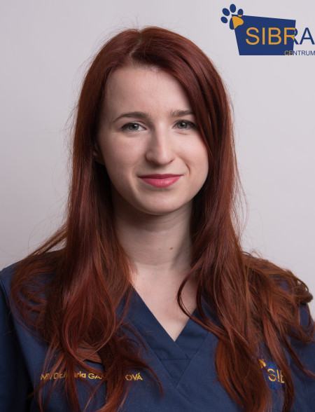 MariaGambosova web