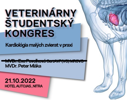 VSK22 prednasajuci web2new